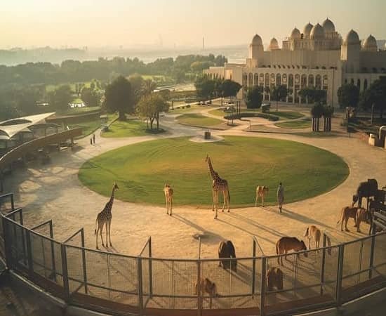Emirates Park Zoo & Resort Day Trip — United Arab Emirates tour package