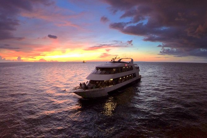 Your Royal Yacht Experience — Evening Dinner Cruise —  Domestic package to United Arab Emirates, Abu Dhabi
