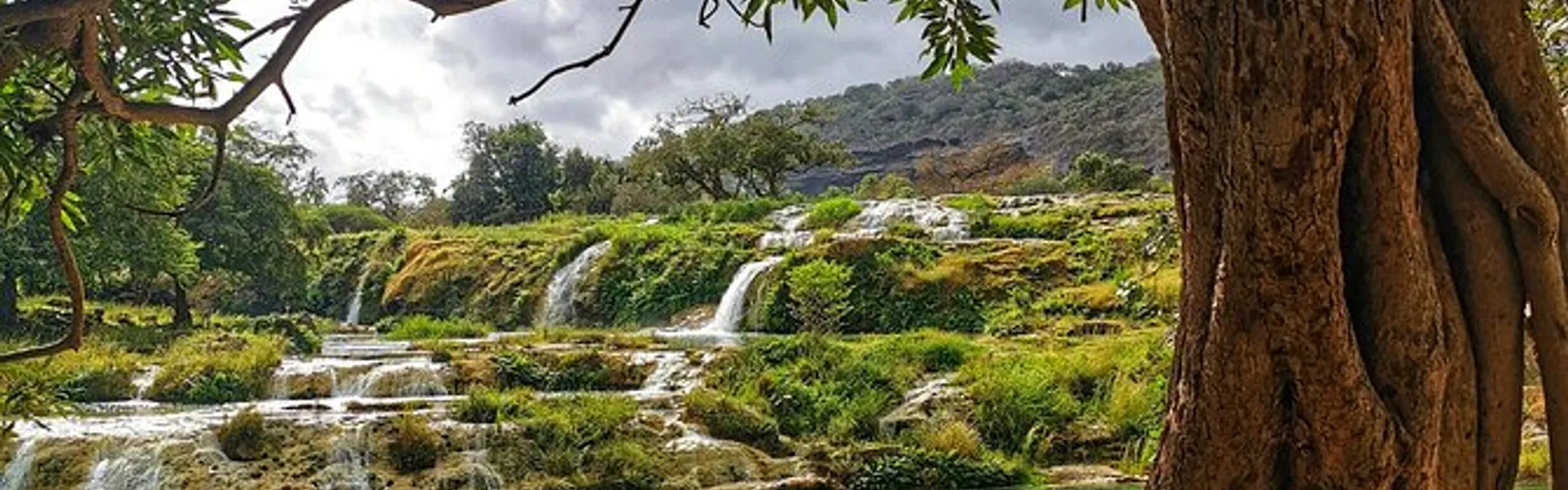 Salalah Getaway from Abu Dhabi - 4D/3N Tour in Oman