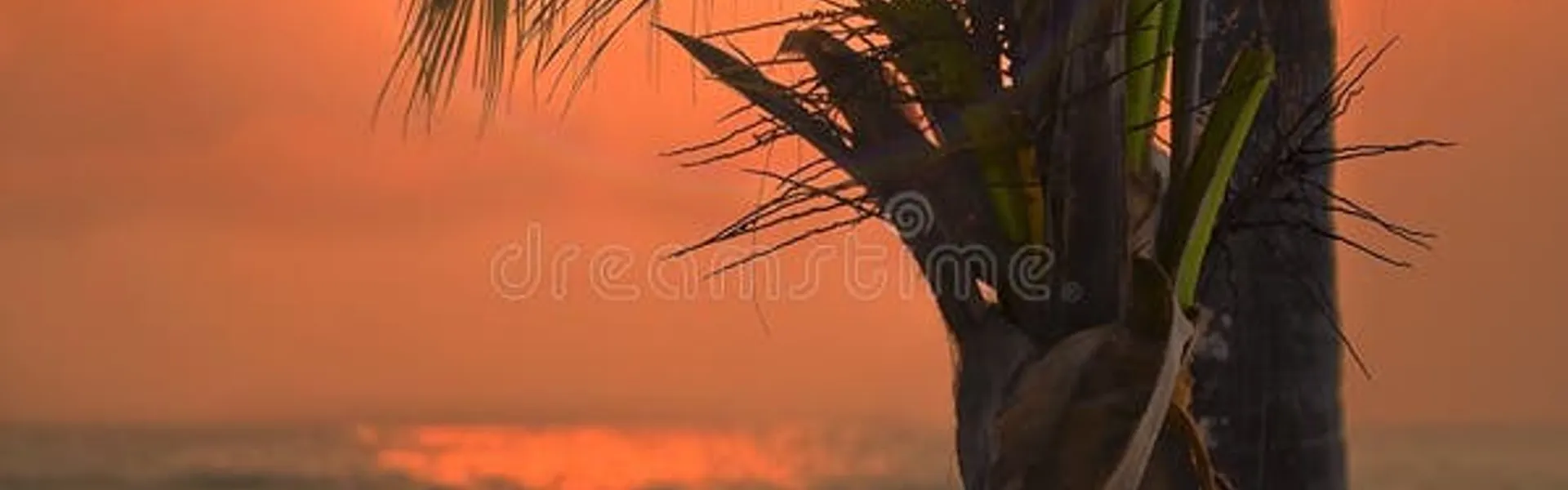 Here’s a romantic Valentine’s holiday trip guide to Mombasa, Kenya — perfect for couples looking for sun, sea, culture, and unforgettable experiences:
Smart Nomad Kenya - 4D/3N Tour in Kenya