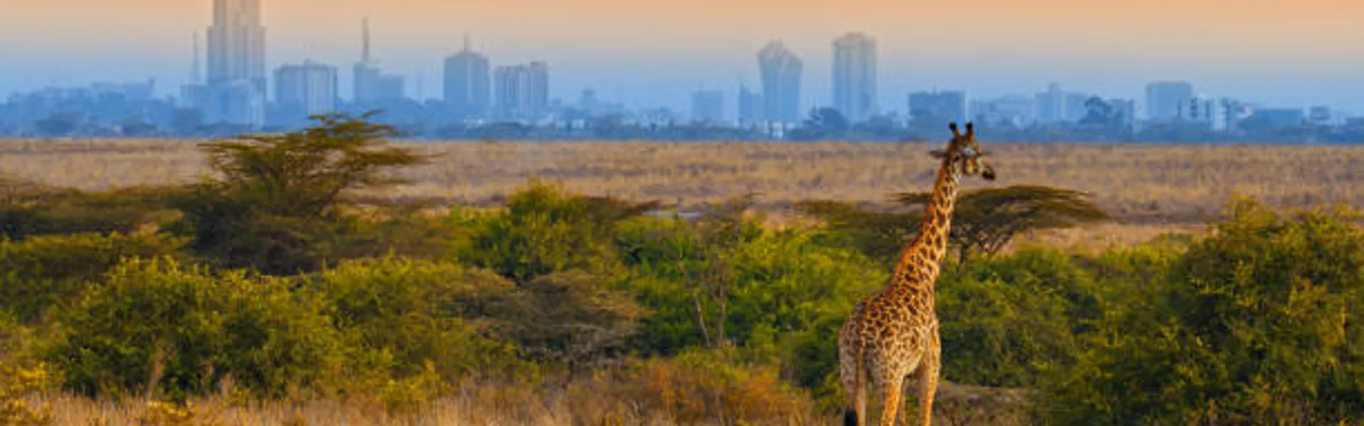 Nairobi Leisure Package - 5D/4N Tour in Kenya