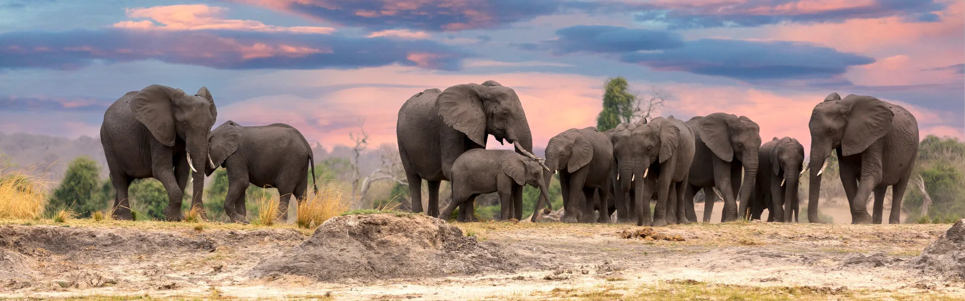 Victoria Falls & Chobe National Park Luxury Safari - 8D/7N Tour in Zambia