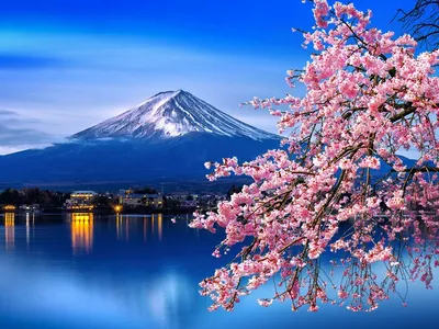 Best of Japan Family Package