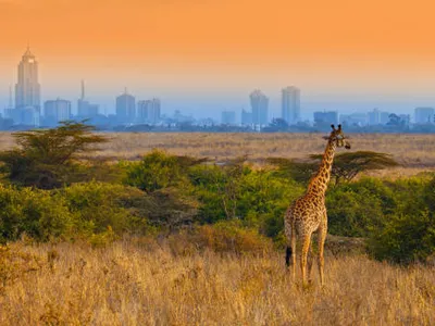 Nairobi Leisure Package