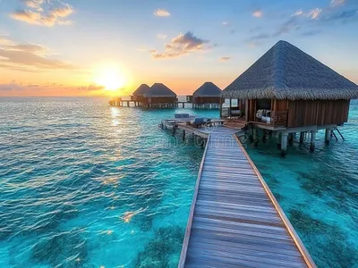Sharjah to Maldives Beach Getaway