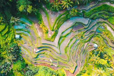 Indonesia Visa Requirements for UAE Residents from Dubai for UAE residents &mdash; apply through Green Apple Travel