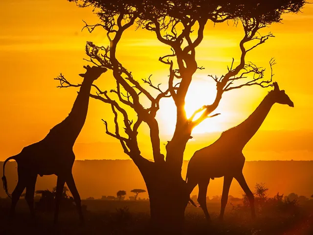 Kenya Visa Requirements for UAE Residents from Dubai &mdash; visa application service for UAE residents by Green Apple Travel