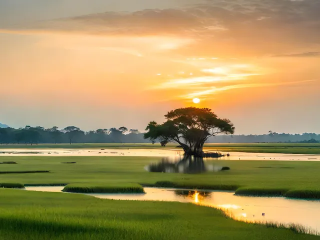 Madagascar Visa Requirements for UAE Residents from Dubai &mdash; visa application service for UAE residents by Green Apple Travel